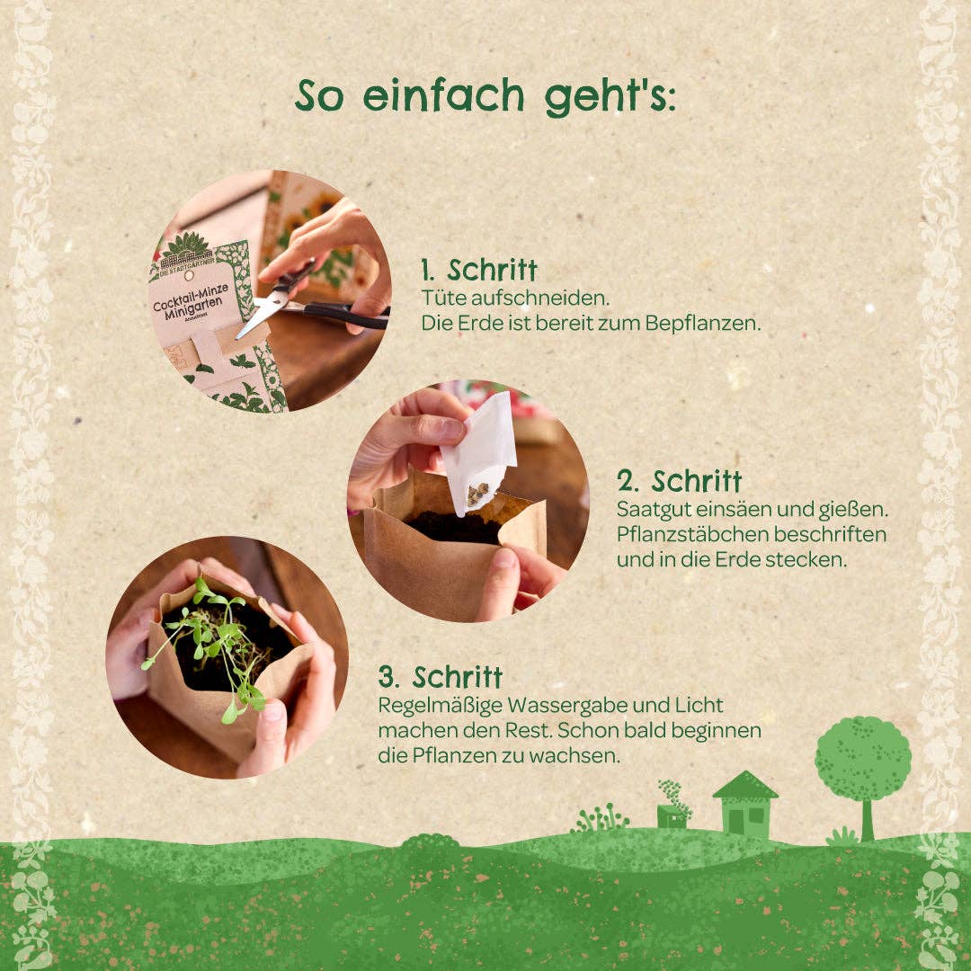 Minigarten - Basilkum - BIO